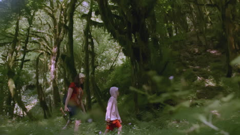 hikers in a lush forest