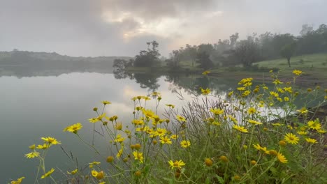 Wilde-Landschaft-Mit-See-Und-Gelben-Blumen-Im-Vordergrund