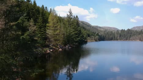 imágenes de drones de un lago, volando cerca de pinos, sur de noruega en primavera, full hd 30p