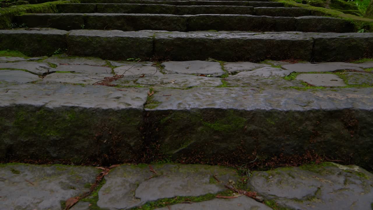lenta inclinación cinematográfica por encima de las escaleras de piedra en el templo japonés en lo profundo del bosque exuberante