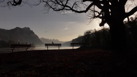 the misty ambiance near switzerland's walensee lake, gliding low over autumn leaves, quiet benches, and calm waters, showcasing serene beauty and the tranquility of nature.