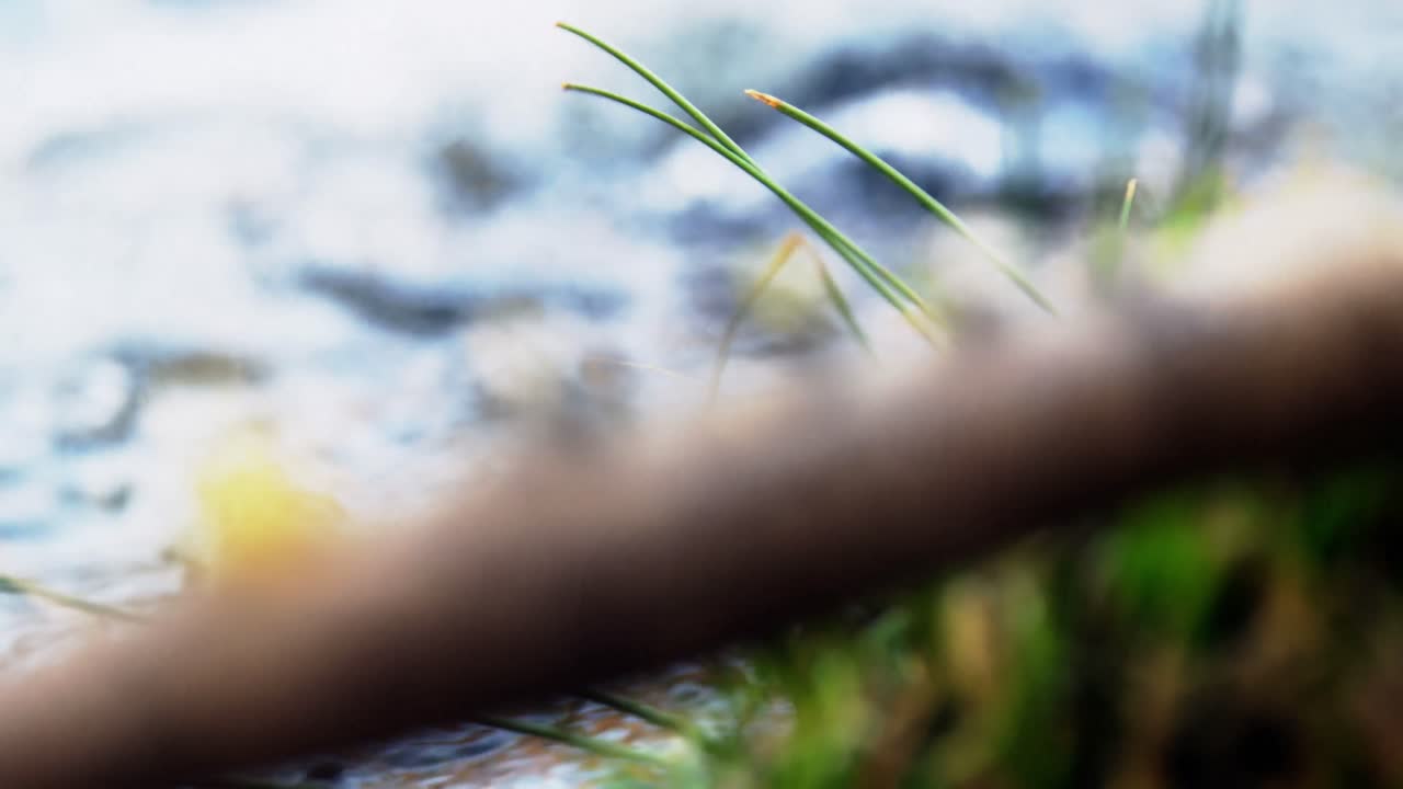 날아가는  ⁇ 시줄, 릴과 바위에 있는 갈고리