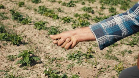 farmer in a plaid shirt crushes dry soil intended for crops in his hand