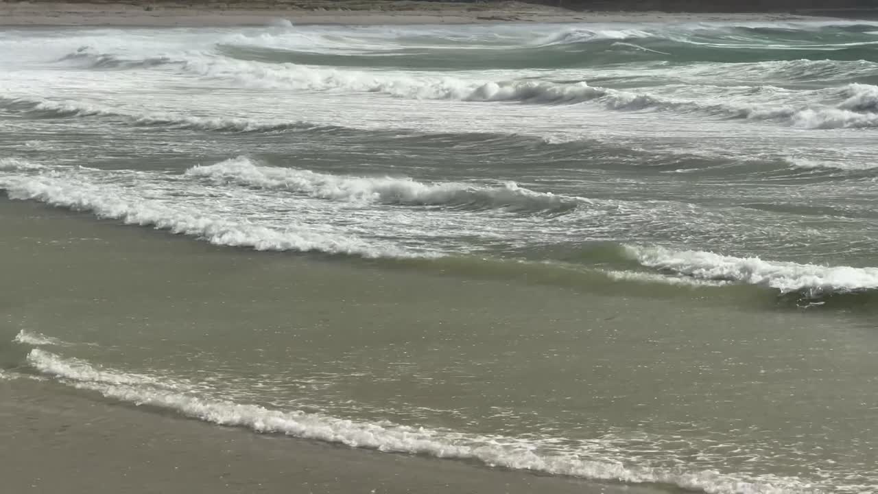 Storm waves in local bay