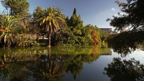 Aufschlussreicher-Städtischer-Grünflächensee-Am-Paseo-Del-Bosque,-La-Plata,-Argentinien