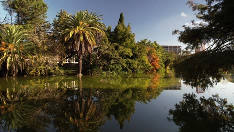 el lago que revela el espacio verde urbano del paseo del bosque, la plata, argentina
