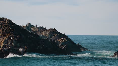 Seal-Rock-with-sea-lions-and-seals-at-Pebble-Beach-in-Monterey,-17-Mile-Drive