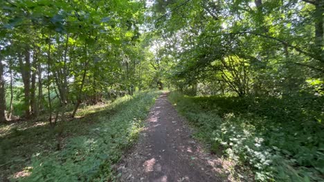 pov caminando por un sendero forestal durante un día de verano en el suroeste de finlandia