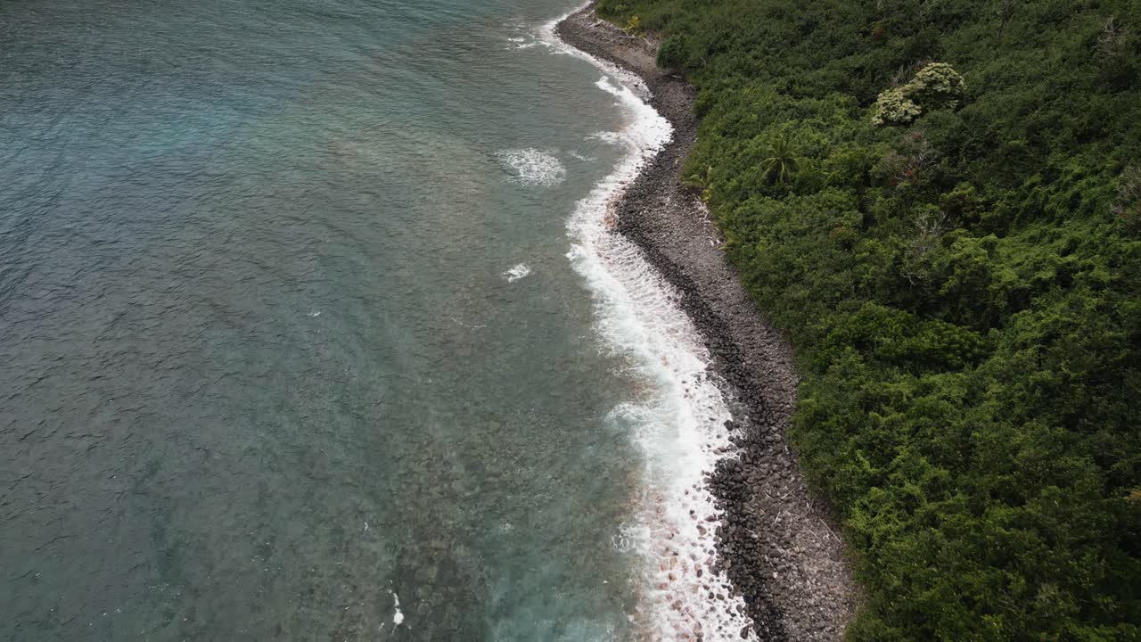 vista aerea della spiaggia rocciosa di maui sulla costa verde della vegetazione, inclinazione verso l'alto