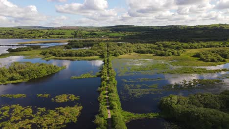 Hermosa-Naturaleza-Y-Pasarela-Sobre-El-Agua-En-El-Río-Lee,-Condado-De-Cork,-Irlanda