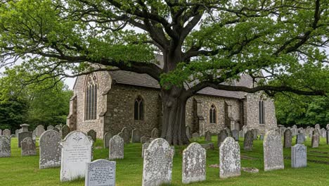 a majestic view of a historic church surrounded by lush greenery and weathered gravestones under the canopy of an ancient tree