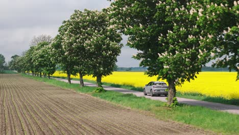 suv electric vehicle drives along country road by yellow canola field