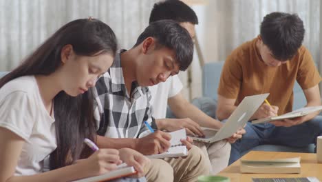 students studying together at home