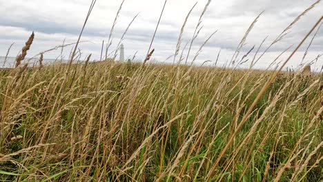 camera slowly pans over windswept tall grass, revealing a distant coastal lighthouse on a rocky shoreline under overcast skies with soft natural lighting