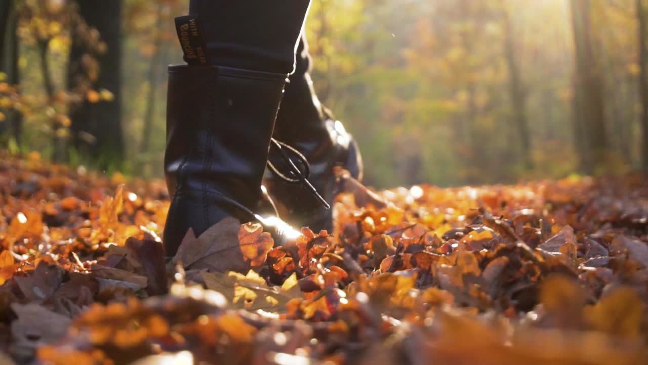 cámara lenta de botas caminando sobre el follaje en el bosque en un brillante día de otoño