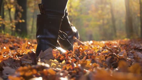 slow motion of boots walking on foliage in forest on bright autumn day