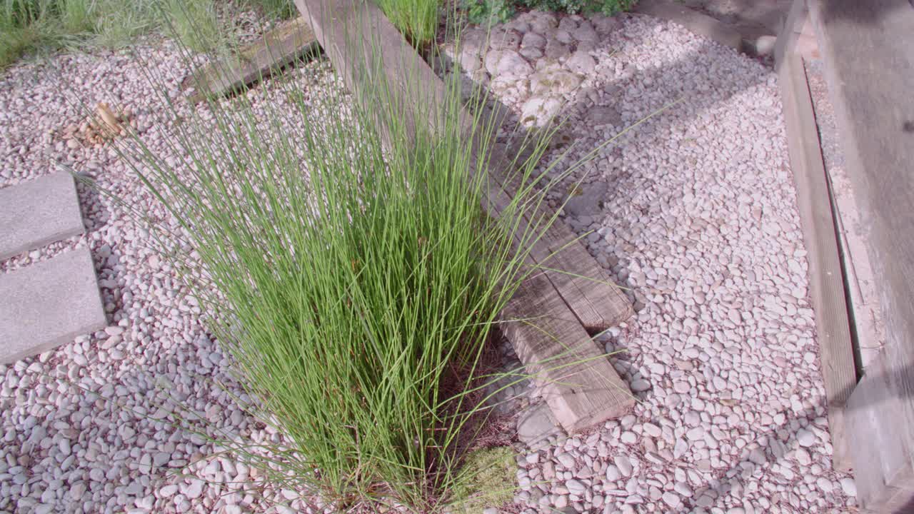 Pan over stone pond with reed grass