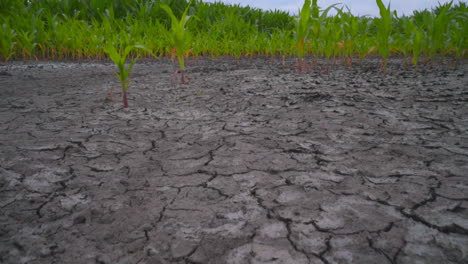 Global-warming-concept.-Ecology-concept.-Dry-land-near-field-and-wind-turbine