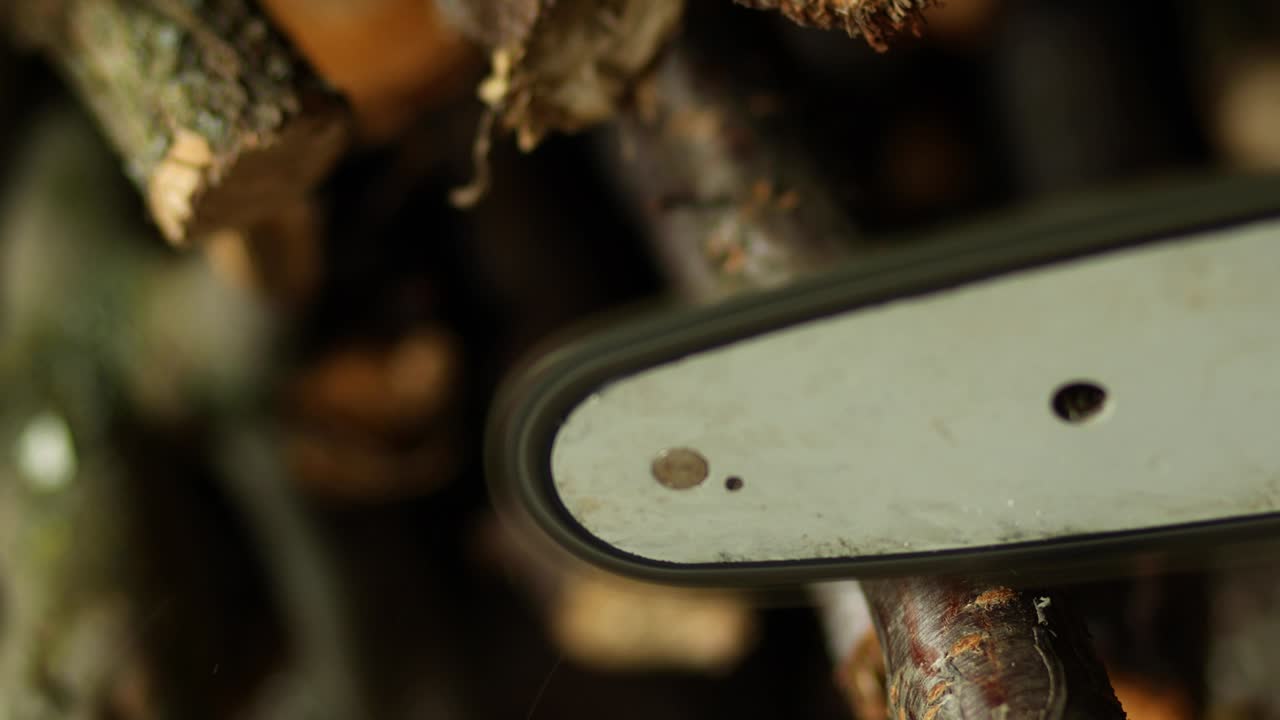cerca de las manos del hombre con la sierra eléctrica cortando la rama del árbol