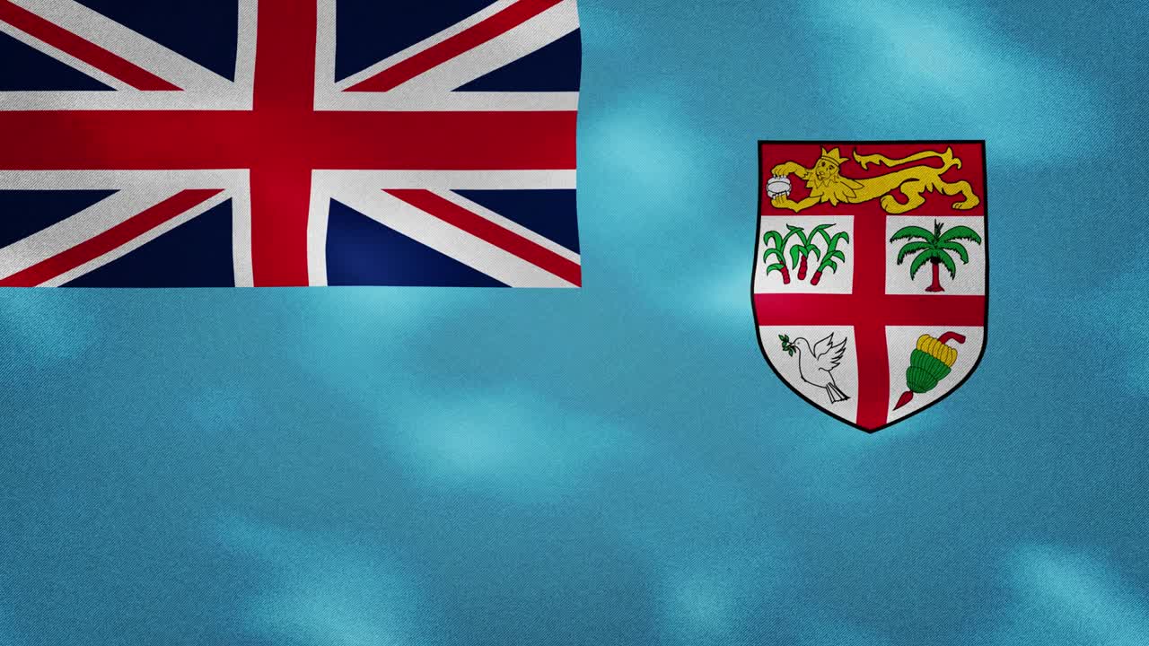 피지 발의 밀집된 직물 파동, 배경 루프