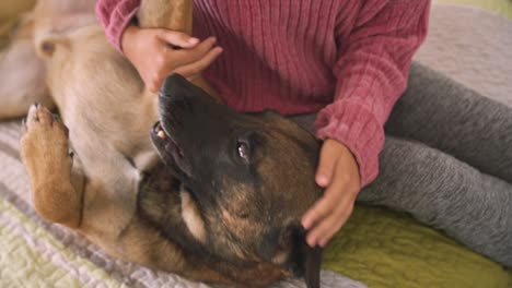 Girl-Sitting-On-Bed,-playing-with-dog,-Stroking-and-petting-big-Dog