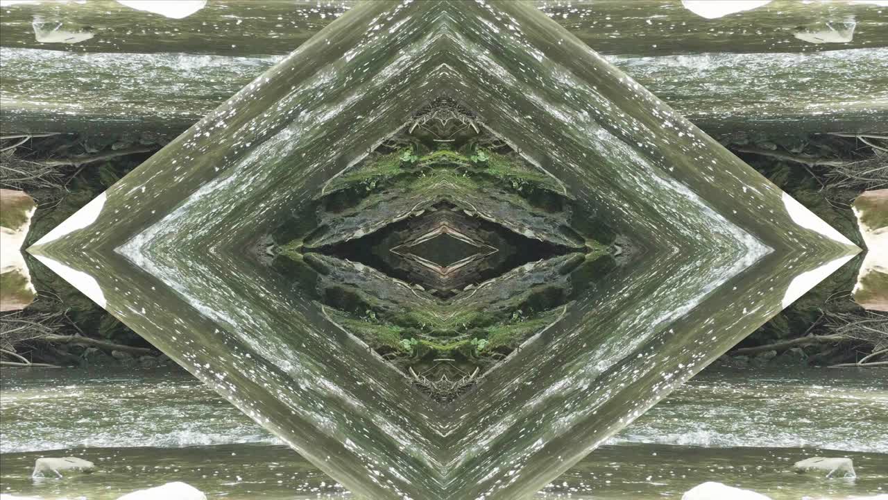 caleidoscopio de vegetación usando imágenes de bosque de wissahickon creek, philadelphia, #8