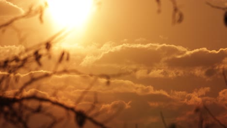 Cálida-Puesta-De-Sol-Con-Nubes-Esponjosas-Durante-El-Verano