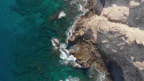 Aerial-top-down-forward-over-ocean-waves-crashing-on-rocky-coast