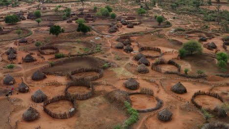 typical fenced and thatched roof houses in hamar tribe village, omo valley, ethiopia