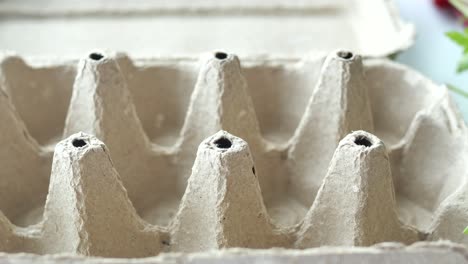 Egg-carton-without-eggs-on-table