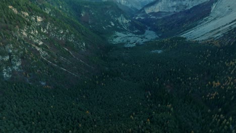 drone view on long cold valley reveal peaks and sky, dolomites mountains in the italian alps, with pine forest in winter season