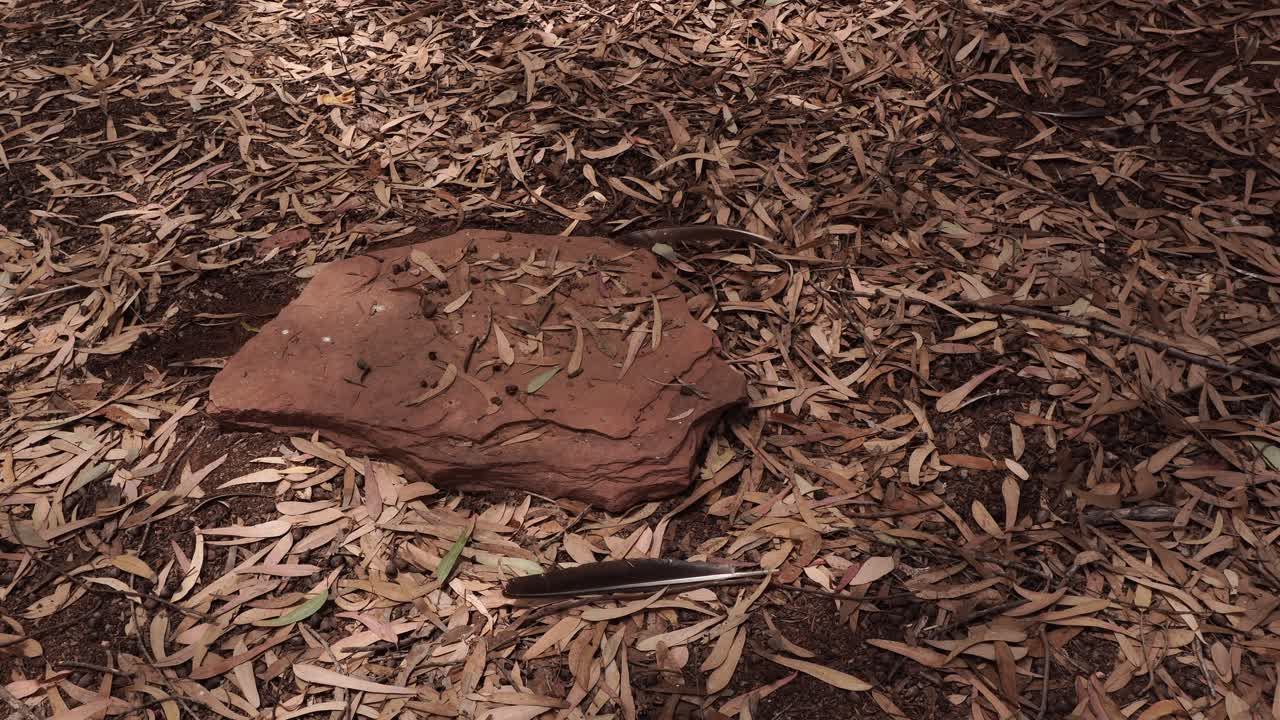 A beautiful rock with many dead leaves and a bird feather that moves gently in the wind