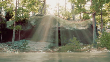 forest scene with sunlight and rocks