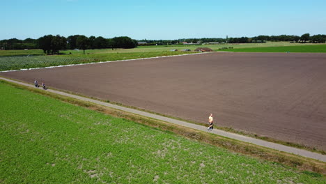 cyclists in a dutch countryside field