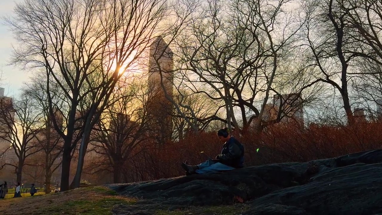 New York, USA, 22 March 2026: Person using laptop sitting on rock in urban park. Silhouette of person with headphones working on laptop at sunset in park with trees and city buildings.