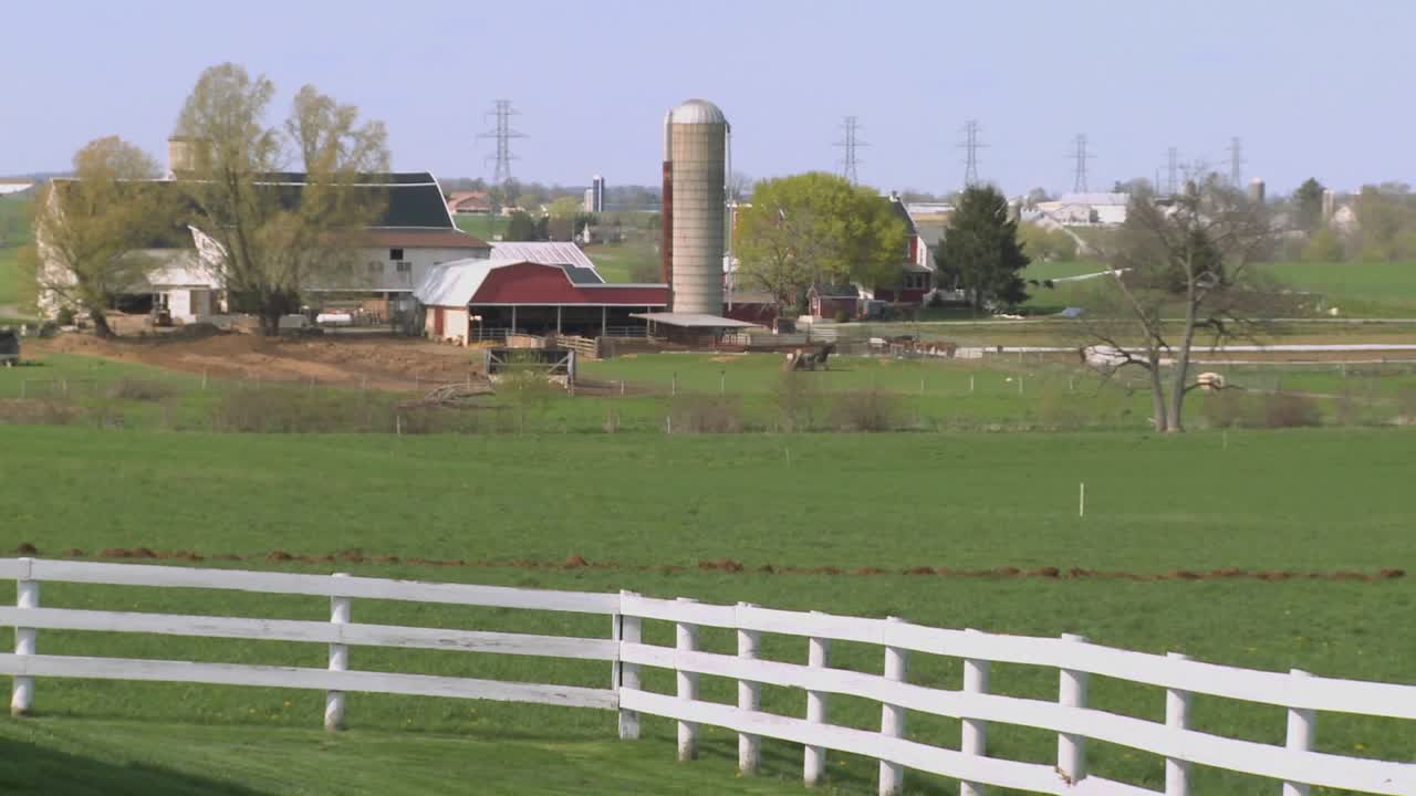 un granjero amish usa caballos para arar sus campos 4