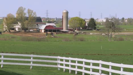 un granjero amish usa caballos para arar sus campos 4