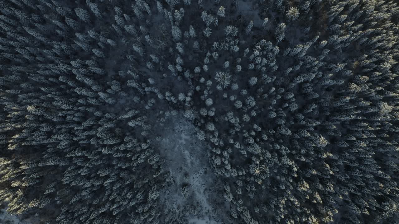 A cinematic, moving, aerial view of the winter-clad wilderness in northern Canada during the golden hour - evening.
