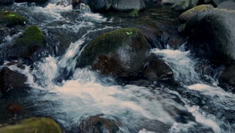 serene stream flowing over smooth rocks