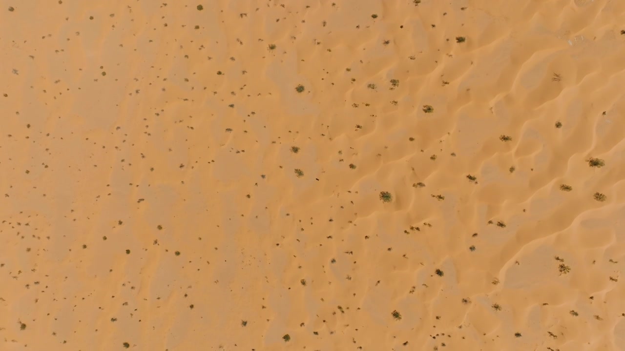 Top down drone shot of a lone person walking across the immense sand dunes of the Sahara Desert in Tunisia. Concept of isolation, solitude, adventure, and the scale of human vs nature