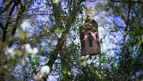 Selbstgebauter-Nistkasten-Für-Vögel-Im-Garten