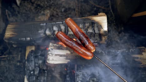 roasting two hot dogs on a camp fire