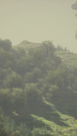 foggy mountain landscape