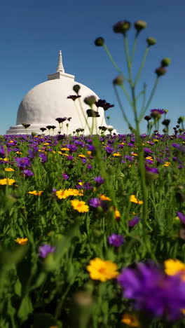 white stupa surrounded by colorful flowers