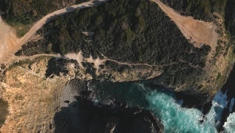 Drone-top-down-view-of-forest-and-Atlantic-ocean-cliffs-in-Portugal