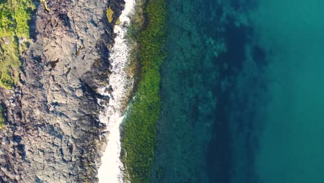 Bird's-eye-drone-aerial-shot-of-Bawley-Point-Crystal-clear-ocean-water-reef-sand-and-seaweed-South-Coast-Ulladulla-NSW-Australia-4K