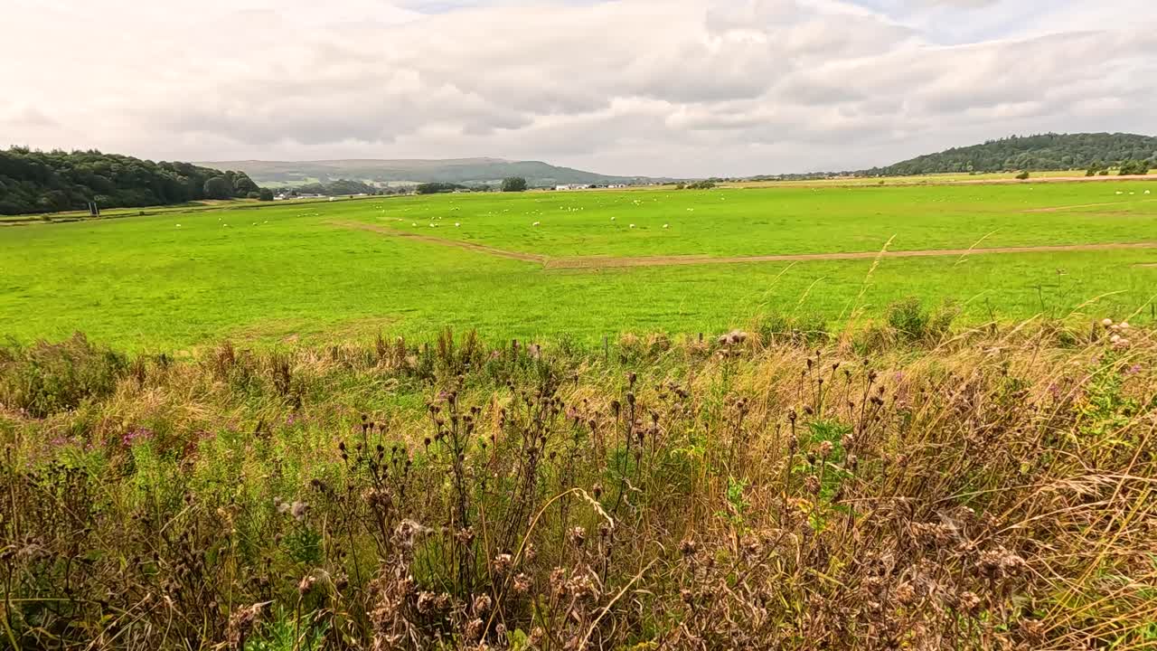 campos verdes con el distante monumento de william wallace