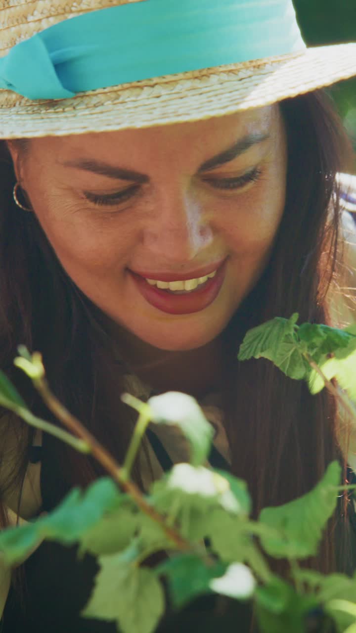 A Woman Delicately Examining Fresh Herbs Under the Warm Sunlight While Gardening with Joy and Passion, Embracing the Beauty of Nature and Growth