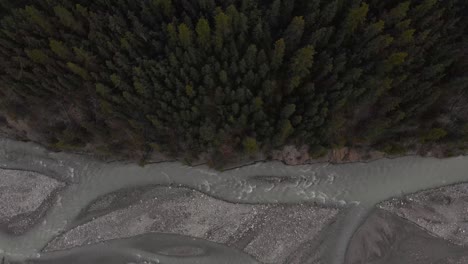 Aerial-top-down-bird's-eye-view-of-a-creek-near-a-green-pine-tree-forest,-conservation-concept