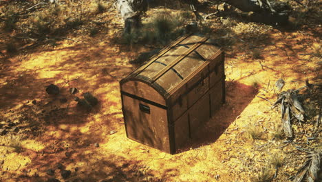 treasure chest discovered in a desert landscape during midday sunlight